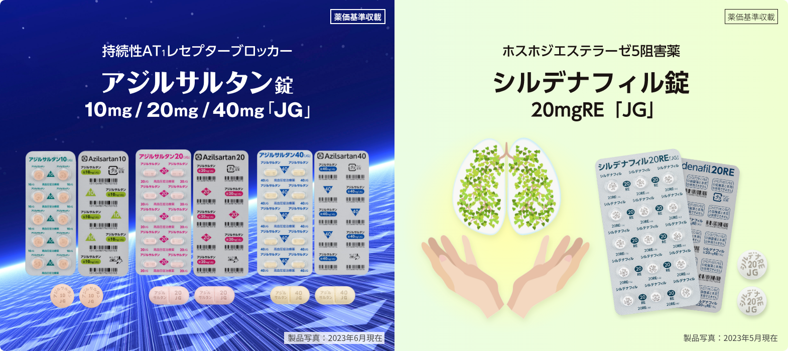 医療関係者向けトップページ ｜ 日本ジェネリック株式会社