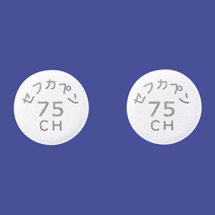 セフカペンピボキシル塩酸塩錠75mg Ch 製品検索 日本ジェネリック株式会社