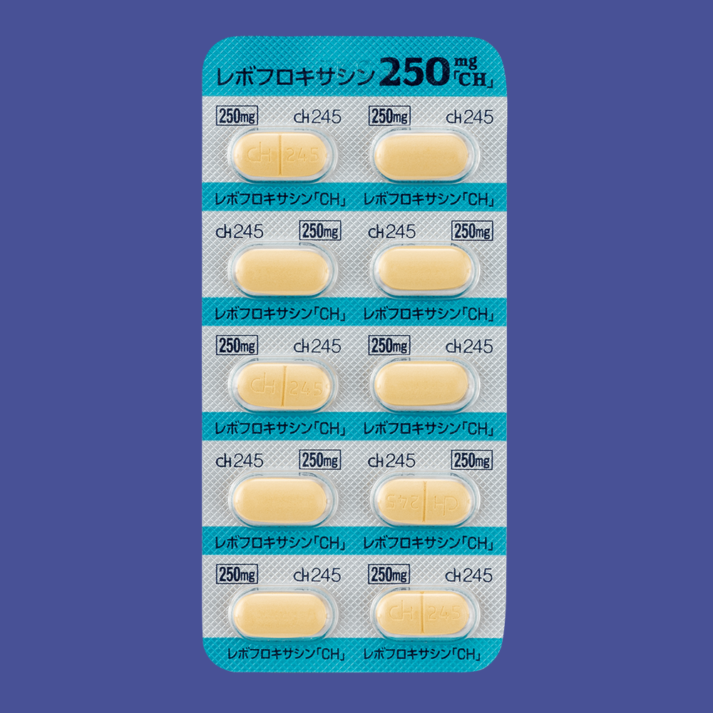 レボフロキサシン錠250mg「CH」 ｜ 製品検索 ｜ 日本ジェネリック株式会社